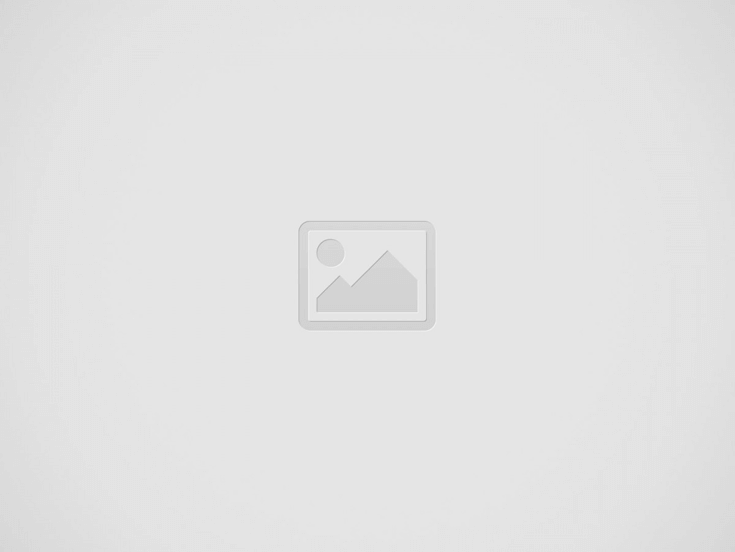 Rulet Nasıl Oynanır – Başlangıç Rehberi ve İpuçları